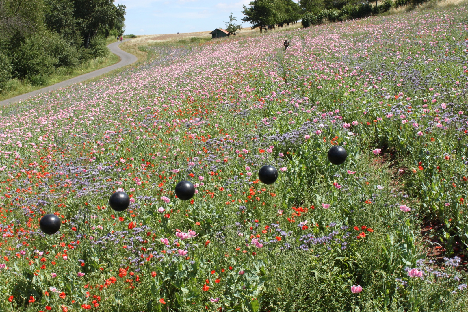 Work in progress slide 16